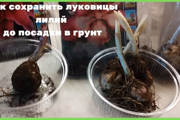 Кракен даркнет площадка ссылка