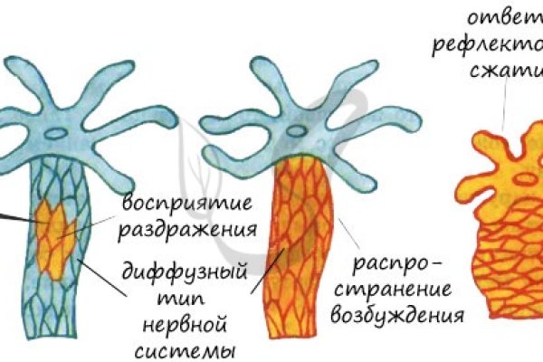 Кракен даркнет зайти