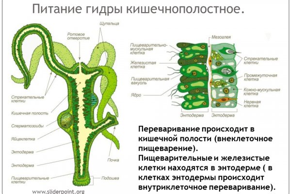 Кракен сайт купить наркотики