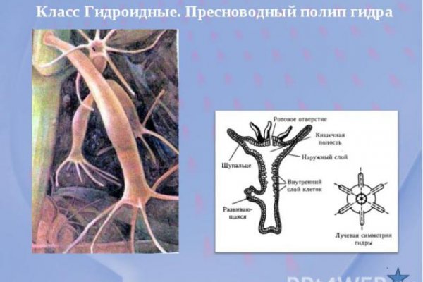 Что такое кракен маркетплейс курительный смесс