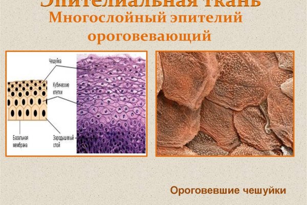 Кракен сайт вход официальный зеркало