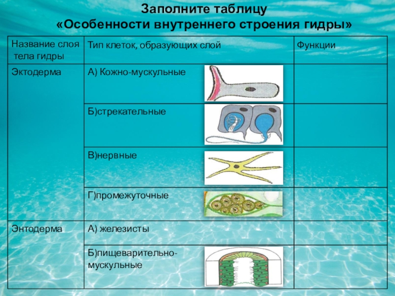 Ссылка на кракен в браузере