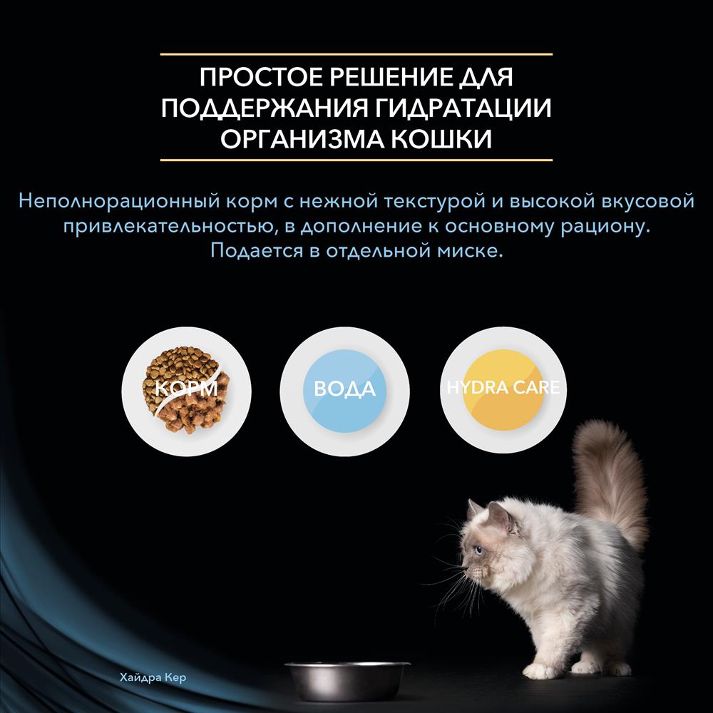 Какой нужен тор чтоб зайти в кракен